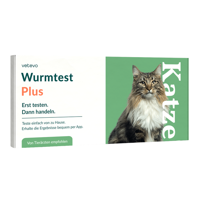 vetevo Wurmtest Plus Katze