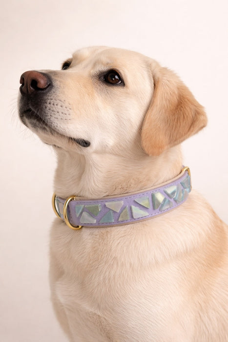 PURE no.03 - Hundehalsband mit Mosaik