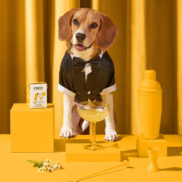 Dog Drink "Wauquiri"