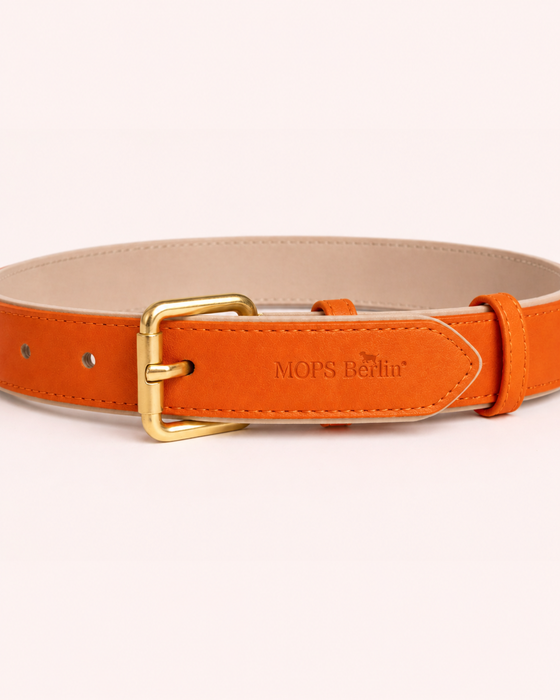 SOFT no.02 - Hundehalsband mit Bernsteinharz