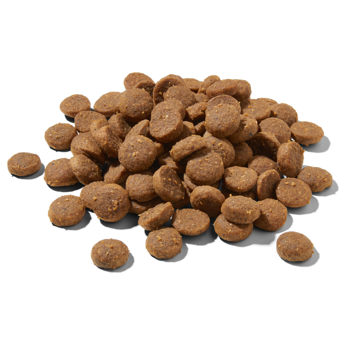Premium Trockenfutter Schwein (Probe)