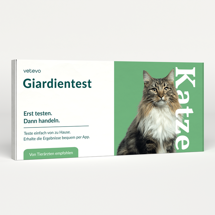 vetevo Giardientest Katze