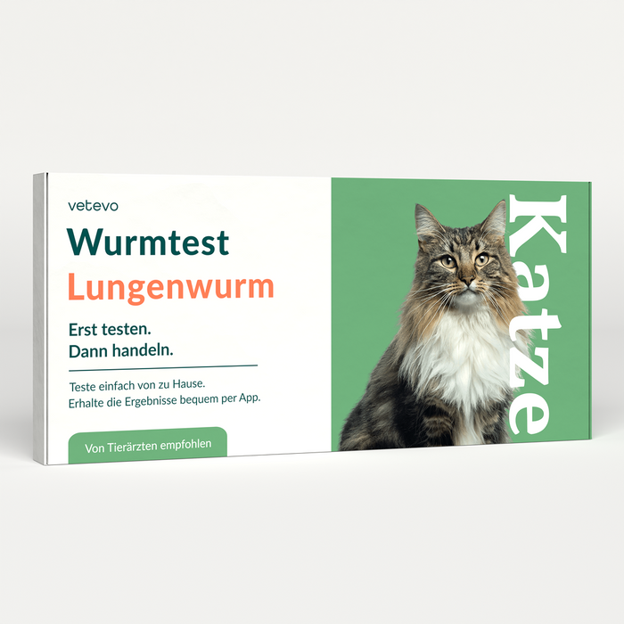 vetevo Lungenwurmtest Katze