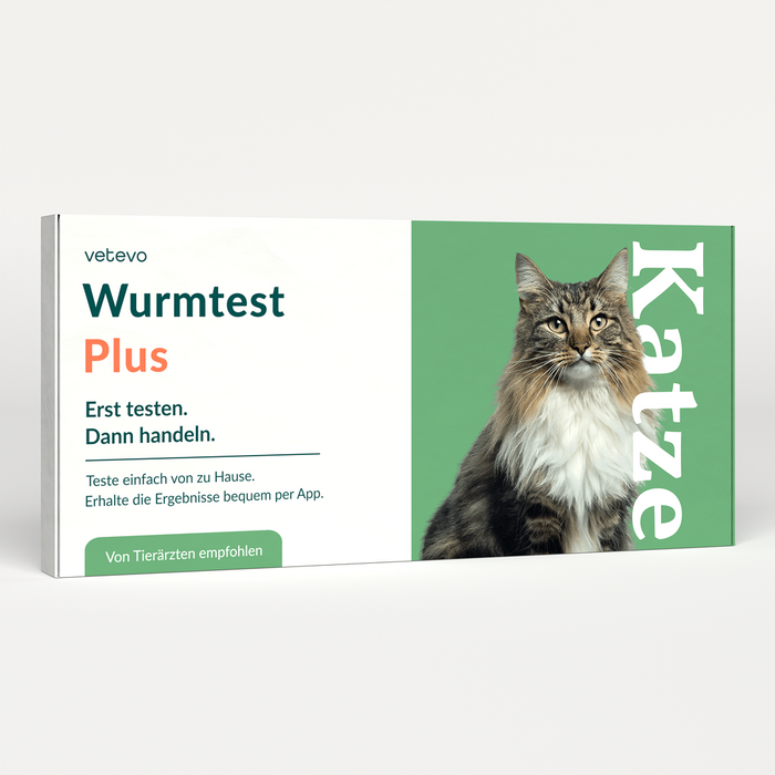 vetevo Wurmtest Plus Katze