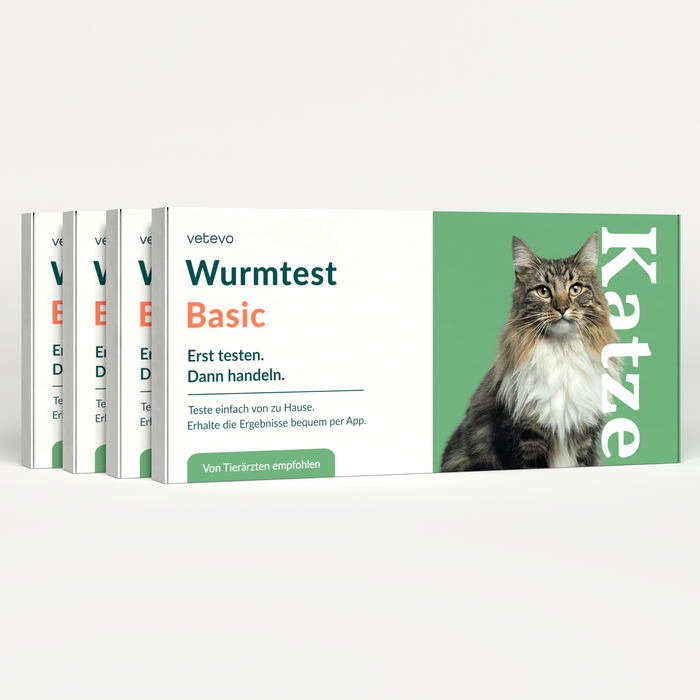 vetevo Wurmtest Basic Katze Sparpaket