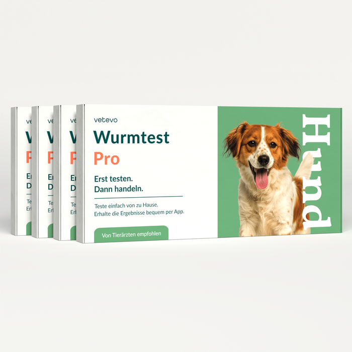 vetevo Wurmtest Pro Hund Sparpaket