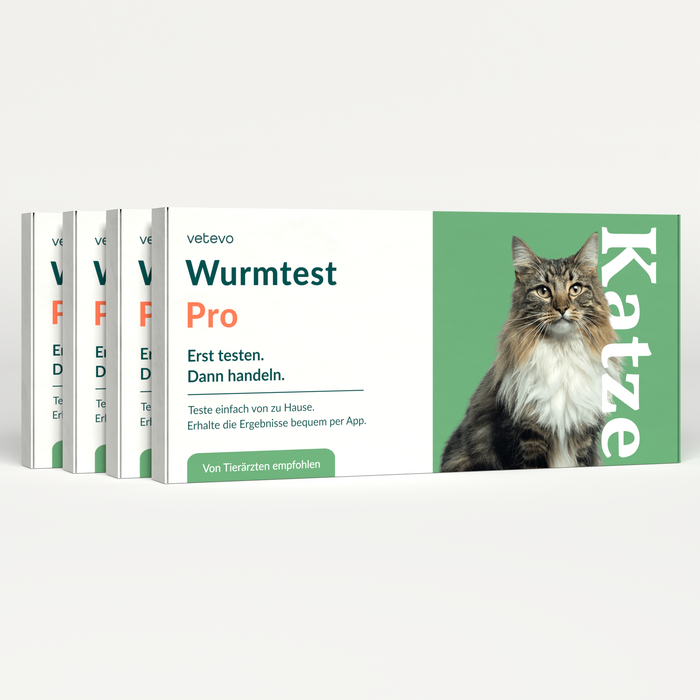 vetevo Wurmtest Pro Katze Sparpaket