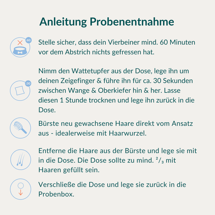 vetevo Allergietest - Gräser, Milben & Co. Pferd