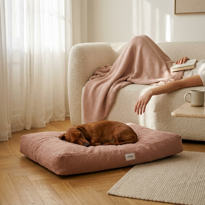 Hundebett Teddy