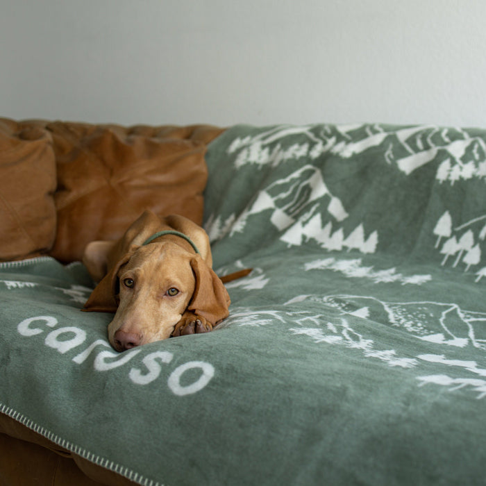 Decke Caruso Forrest