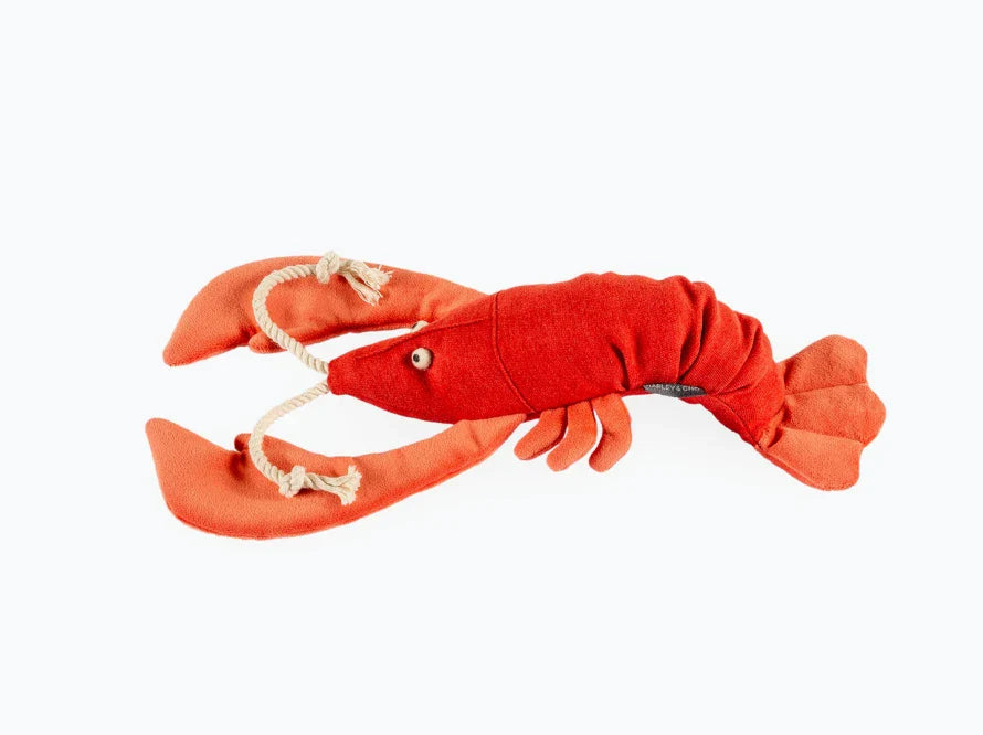 LOBSTER SEBASTIAN Katzenspielzeug / interaktives Plüschtier / sanftes Rascheln
