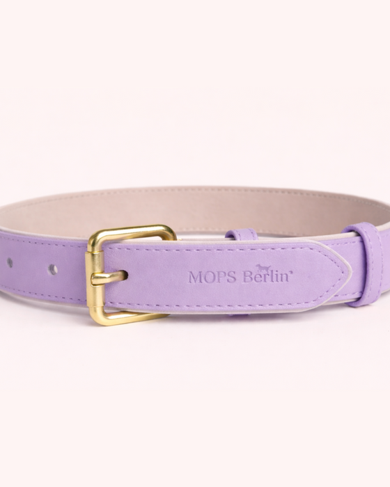 Set SIGNATURE no.04 (Halsband & Leine)