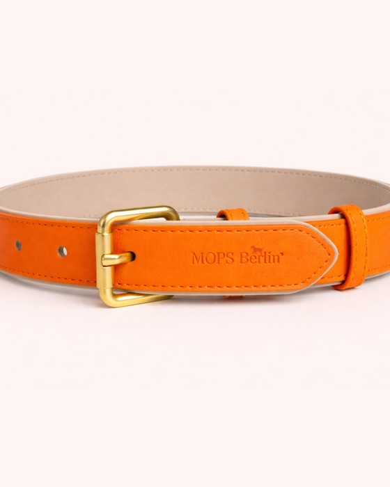 PURE no.02 - Hundehalsband mit Mosaik