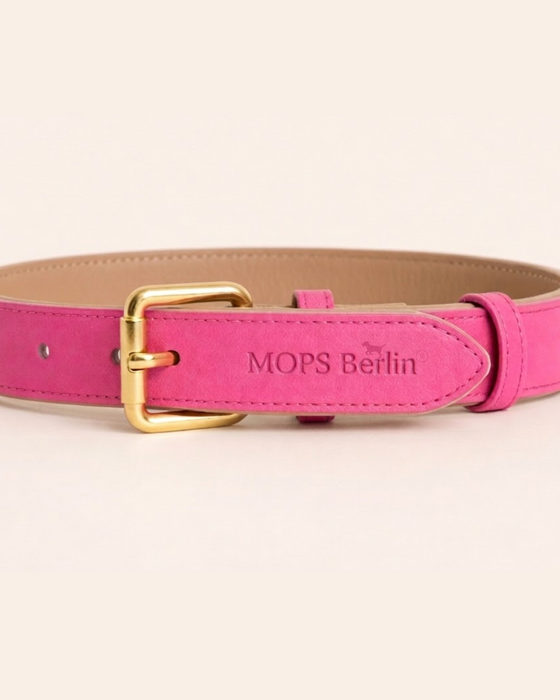 SIGNATURE no.02 - Hundehalsband mit Bonbon-Details