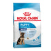 Royal Canin Maxi Puppy.