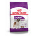 Royal Canin Giant Adult.