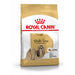 Royal Canin Shih Tzu Adult.