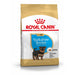 Royal Canin Yorkshire Terrier Puppy.