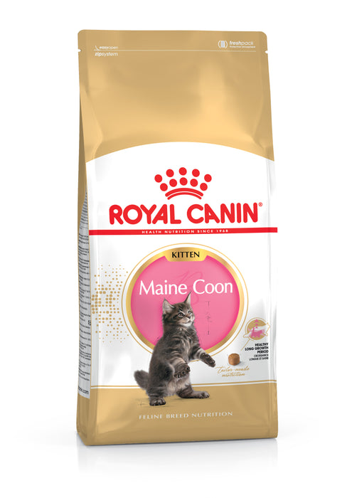 Royal Canin Feline Breed Nutrition Maine Coon Kitten