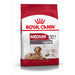 Royal Canin Medium Ageing 10+.