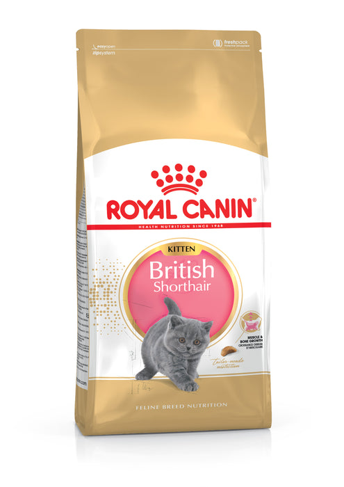 Royal Canin Feline Breed Nutrition British Shorthair Kitten