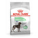 Royal Canin Digestive Care Maxi.