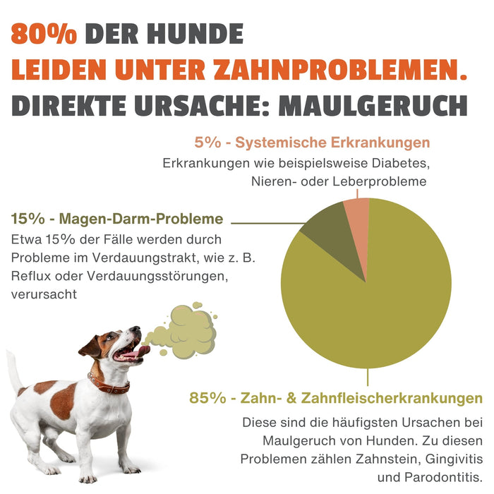 Atemfrische