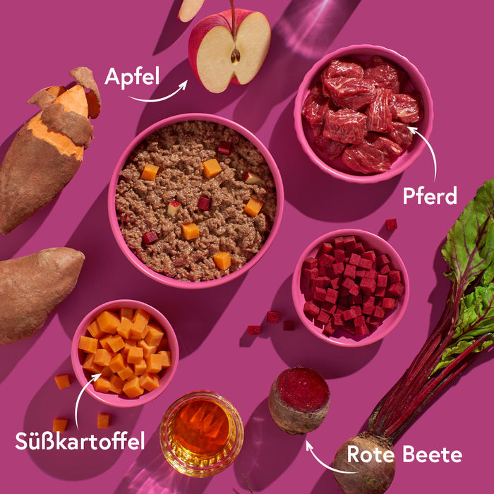 Pferd mit Süßkartoffeln