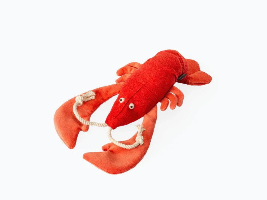 LOBSTER SEBASTIAN Katzenspielzeug / interaktives Plüschtier / sanftes Rascheln
