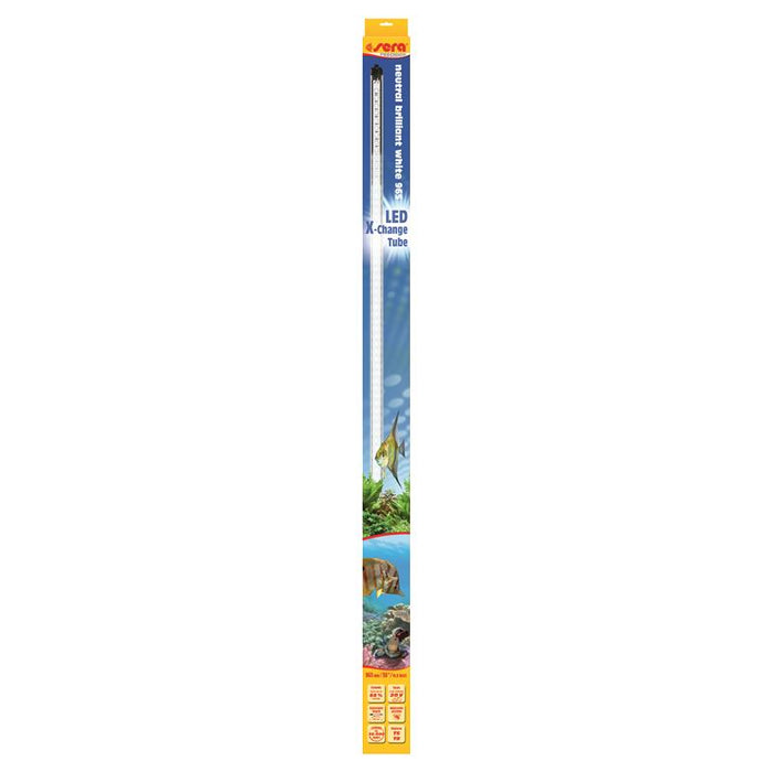 sera LED brilliant white 965
