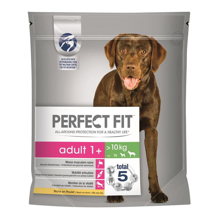 Perfect Fit Dog Adult 1+ M/L.