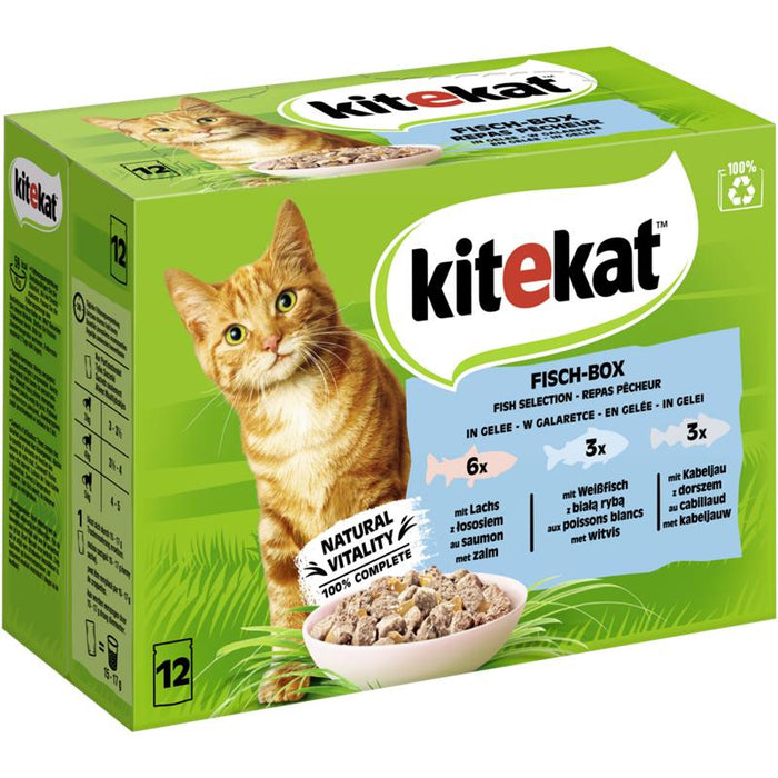 Kitekat MP Fisch-Box in Gelee 12x85g 4er Pack