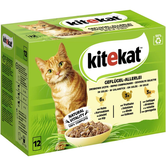 Kitekat MP Geflügel-Allerlei in Gelee 12x85g 4er Pack