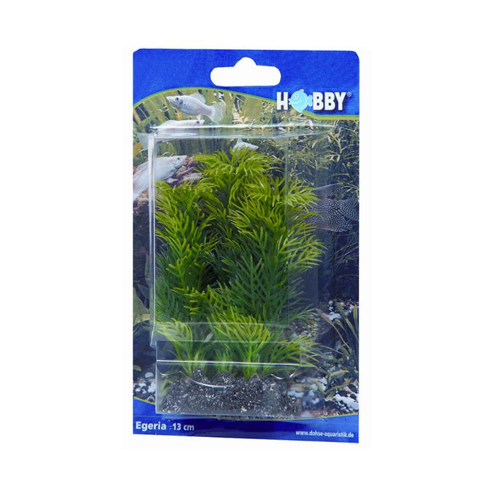 Dohse HOBBY Egeria
