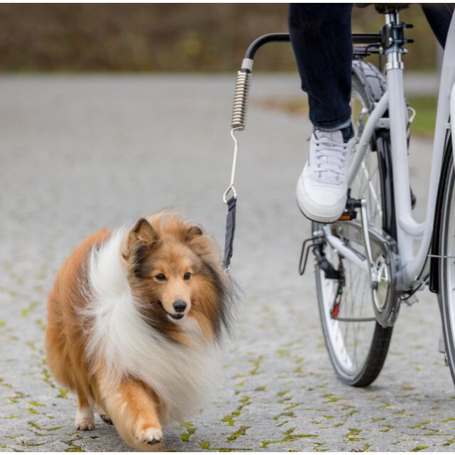 Trixie Biker-Set für Hunde
