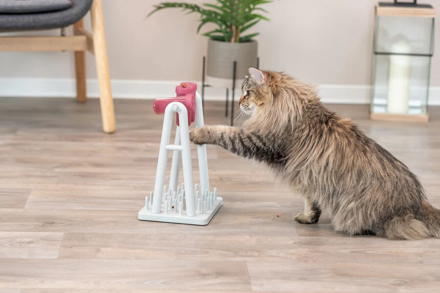 Trixie Cat Activity Turn Around