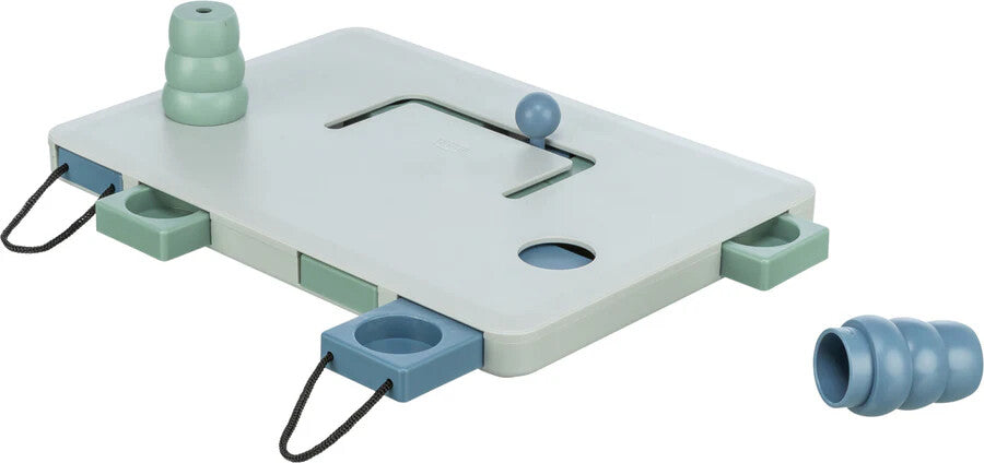 Dog Activity Strategie-Spiel Move2Win