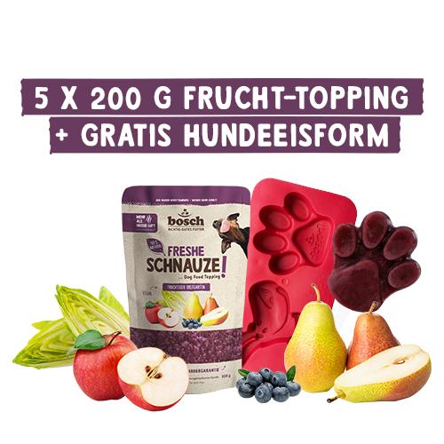 Bosch Freshe Schnauze AktionsboxFrucht-Topping + Eisform & Stiele