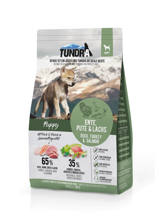 Tundra Puppy - Blue Mountain