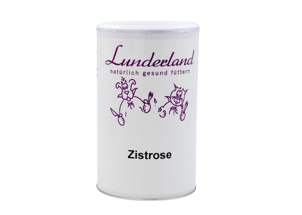 Lunderland Zistrose