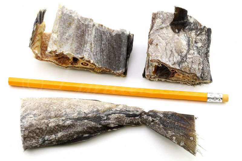 Lunderland Dorsch gesägt