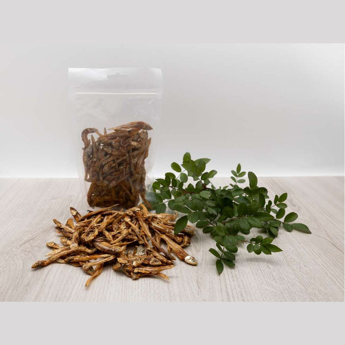 Canius Kleine Fische