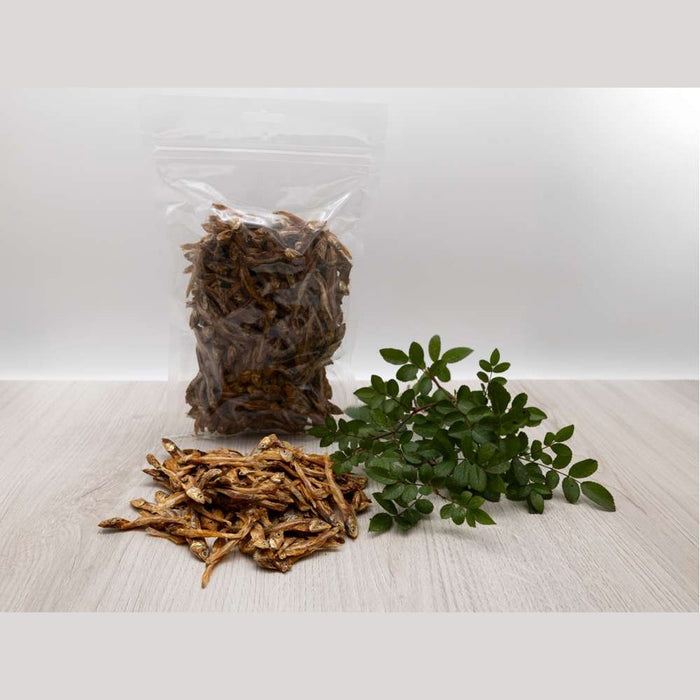 Canius Kleine Fische