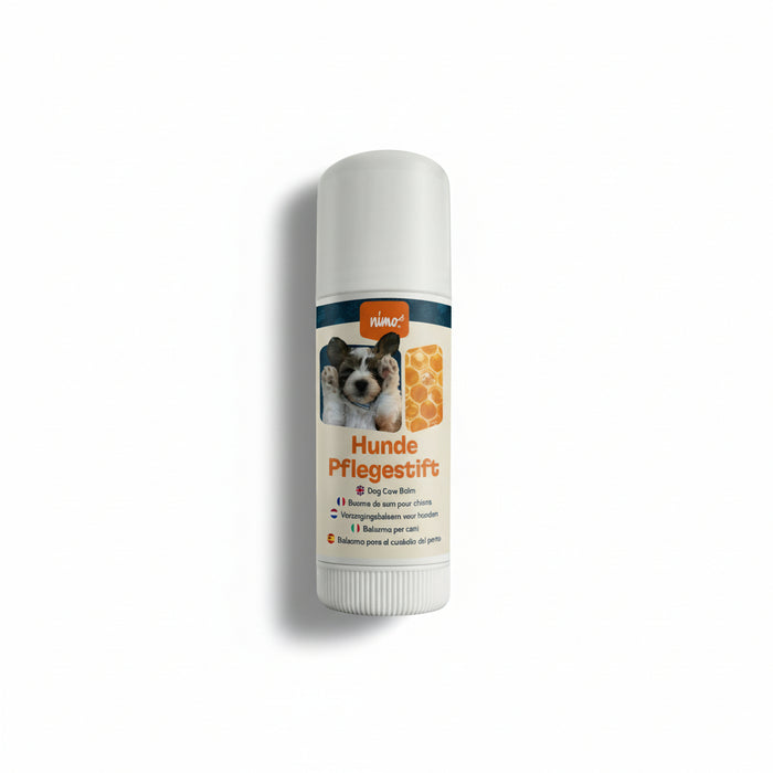 Hunde Pflegestift
