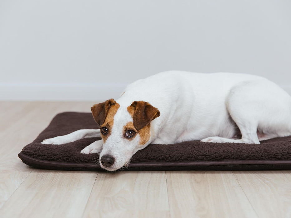 Hundematte HYGGE PAD