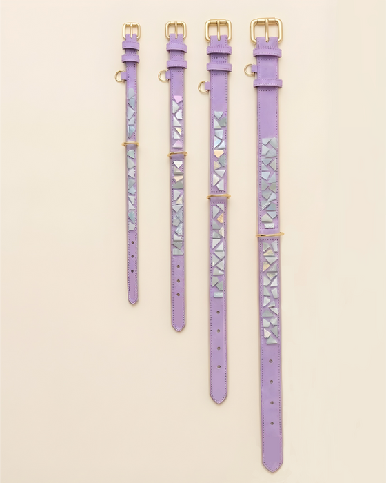 Set PURE No.03 (Halsband & Leine)