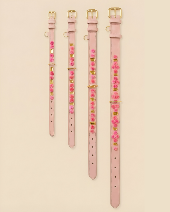 Set SIGNATURE no.01 (Halsband & Leine)