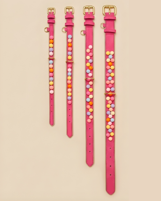 Set SIGNATURE no.02 (Halsband & Leine)