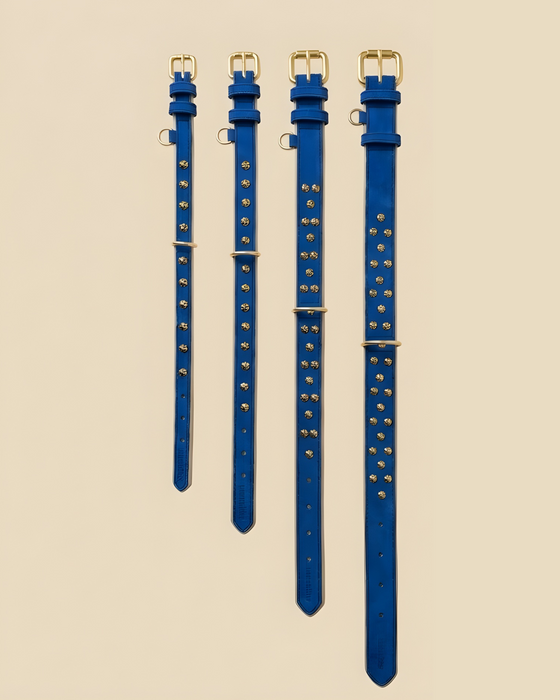 URBAN no.03 - Hundehalsband mit Goldakzenten