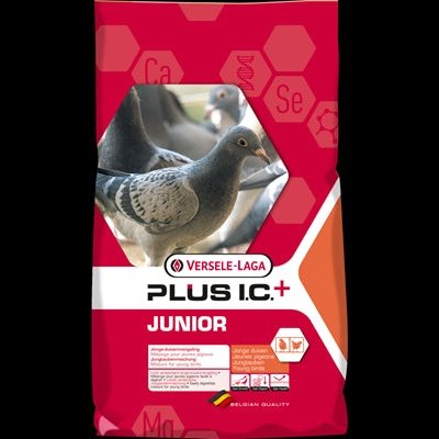 Versele Junior Plus I.C.+     Jungtauben.